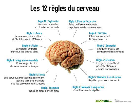Tabeks à rossii le prix