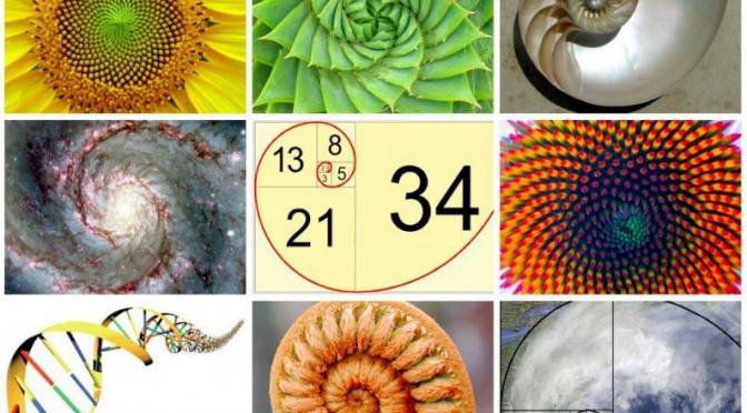 La-magie-de-Fibonacci (2)