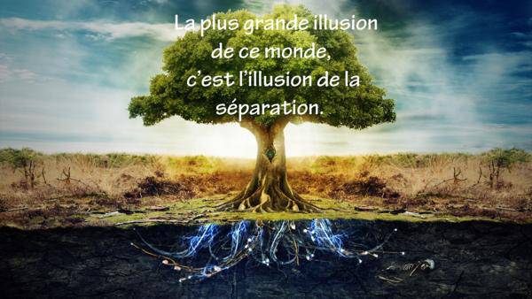 séparation n’est qu’une illusion