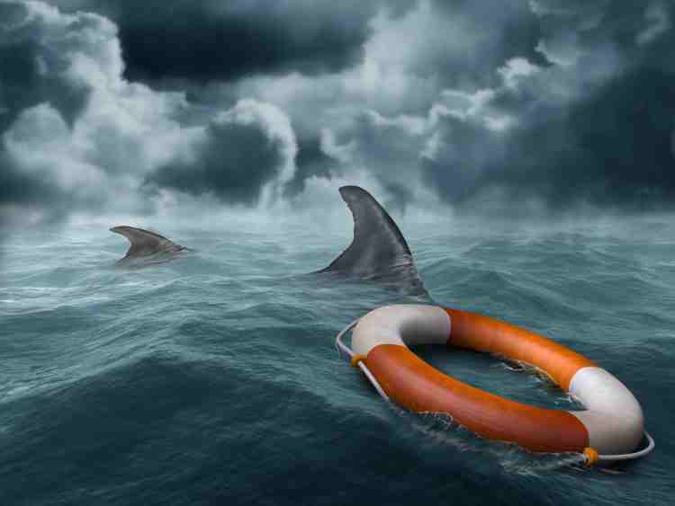 Illustration of a lifebuoy adrift in the ocean surrounded by hungry sharks