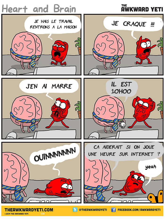 coeur VS cerveau