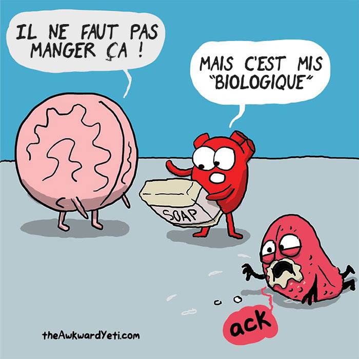 coeur VS cerveau