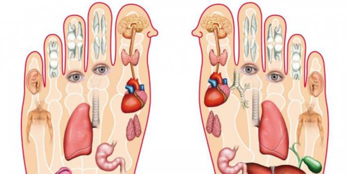 Les bienfaits d'un massage des pieds : améliorez votre santé