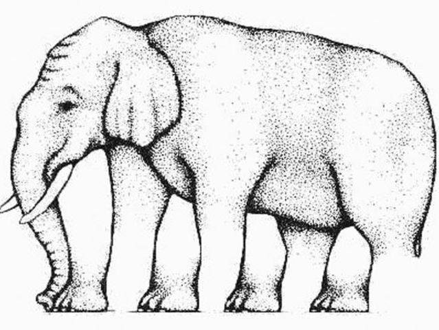 How many legs does this elephant have? You sure?