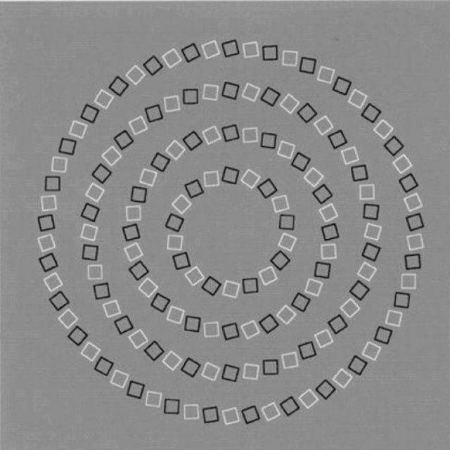 What you are seeing is actually 4 perfectly round circles.