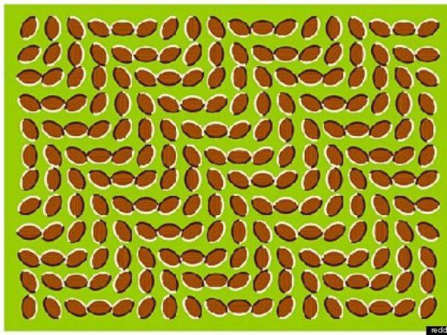 Stare at this picture and it moves. Its actually a static image.