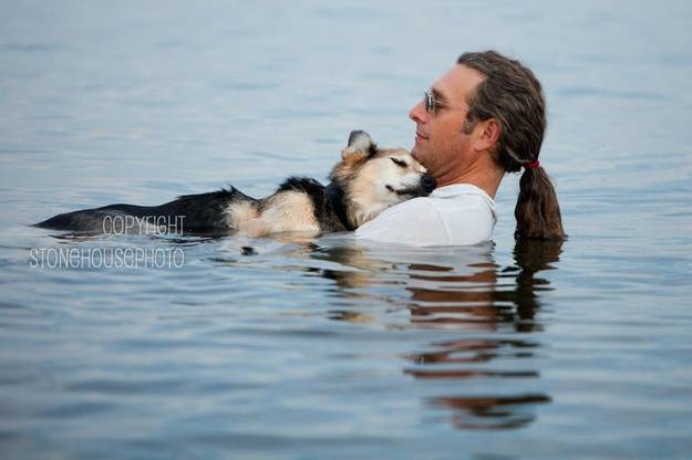 The man who comforts the old dog that saved his life