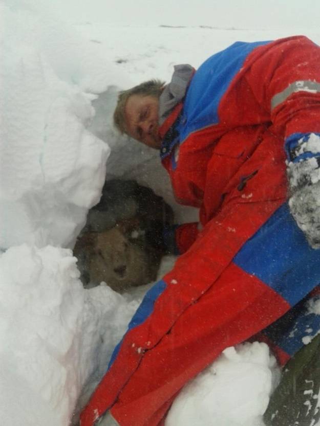 The Icelandic heroes who rescued sheep during a major snowstorm