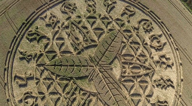 Le 12 août dernier, à Ansty, une petite ville près de Salisbury, dans le Wiltshire en Angleterre, un incroyable crop circle a fait son apparition.