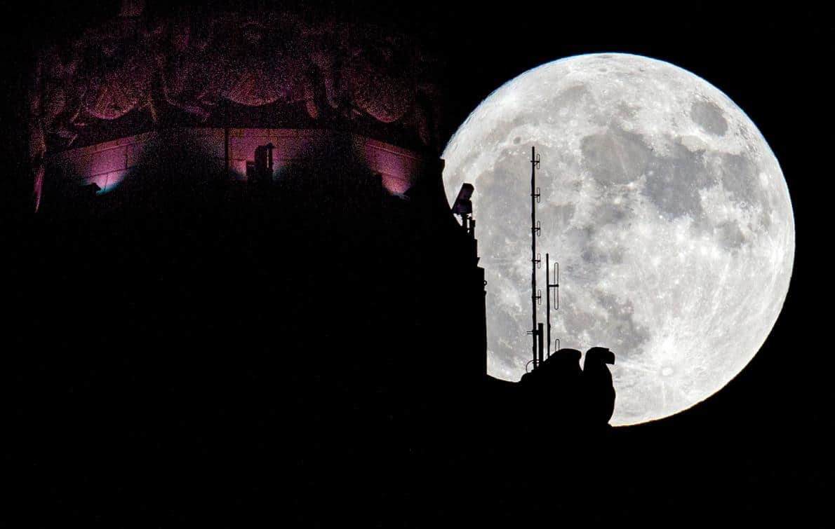 Le 13 et 14 Novembre, le monde a été gâté par la Super Lune la plus brillante en 68 ans. Et les images de cette selection sont tout simplement superbes