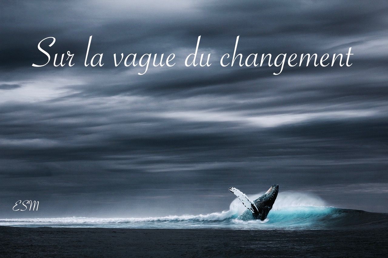 vague du changement