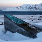 La réserve de Svalbard, en Norvège, censée protéger les semences mondiales de toutes les catastrophes, est elle-même menacée à cause du réchauffement climatique.