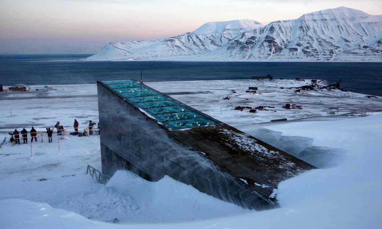 La réserve de Svalbard, en Norvège, censée protéger les semences mondiales de toutes les catastrophes, est elle-même menacée à cause du réchauffement climatique.