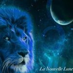 Nouvelle Lune en Lion