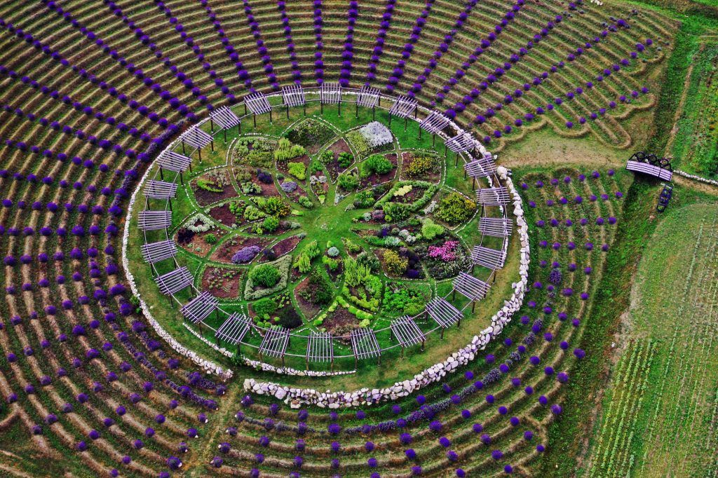 labyrinthe de lavande