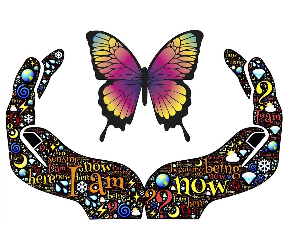 Les Papillons: les messagers spirituels avec des ailes 