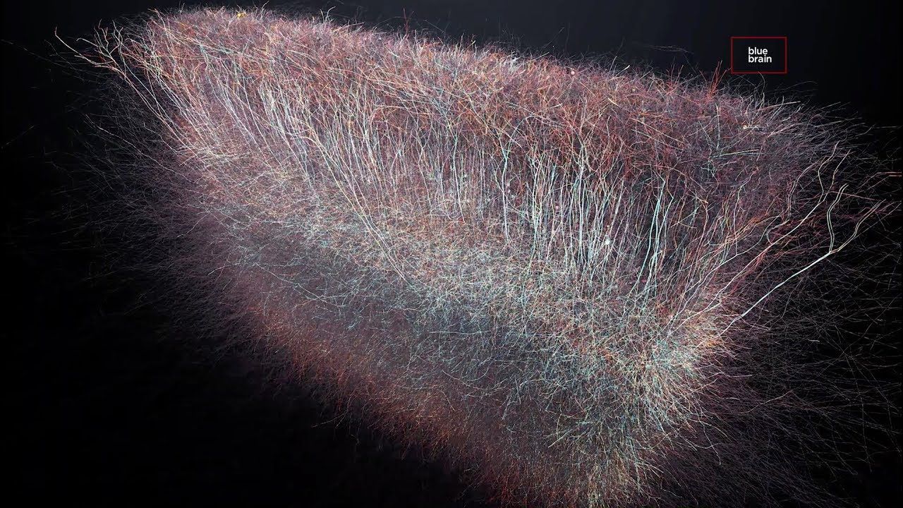 univers multidimensionnel dans notre cerveau