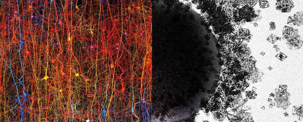 univers multidimensionnel dans notre cerveau