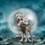 pleine lune des loups