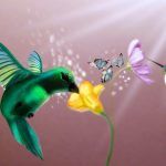 colibri possède une signification spirituelle
