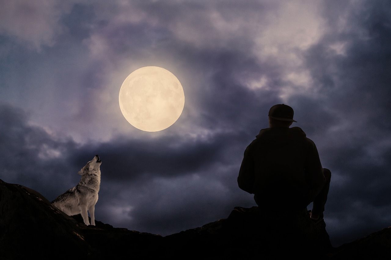 éclipse lunaire totale du 31 janvier