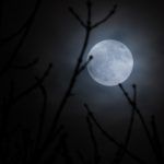 éclipse lunaire totale du 31 janvier
