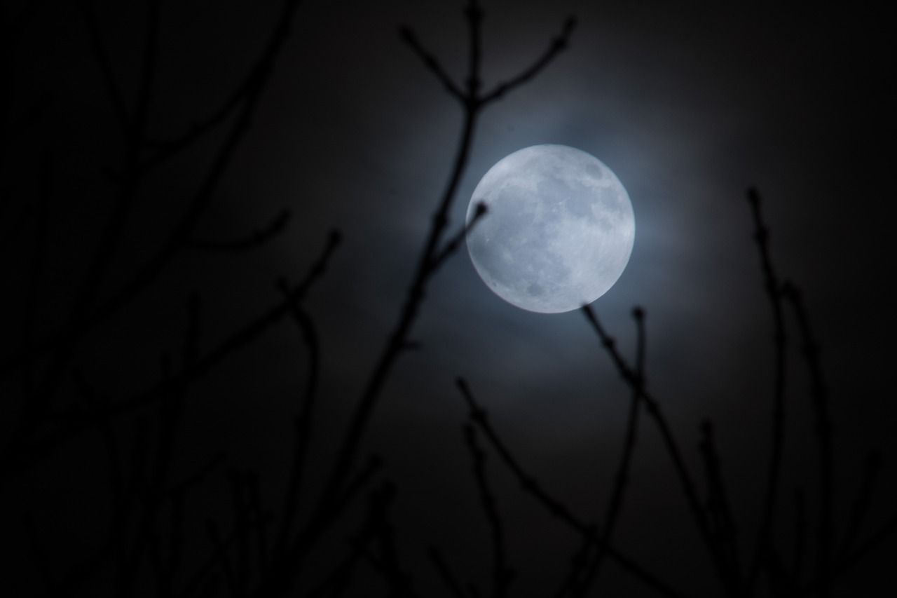 éclipse lunaire totale du 31 janvier