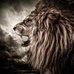 Astrologie: le portail du Lion