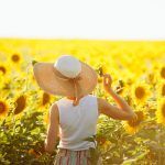 écoutez les vibrations d'un tournesol