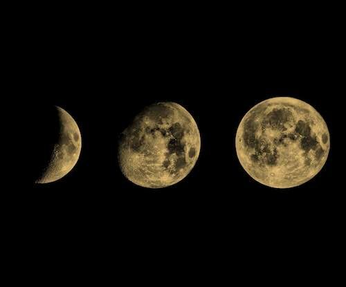 Phases de Lune pour 2020