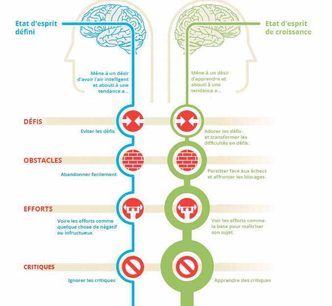 deux états d'esprit de base selon Carol Dweck