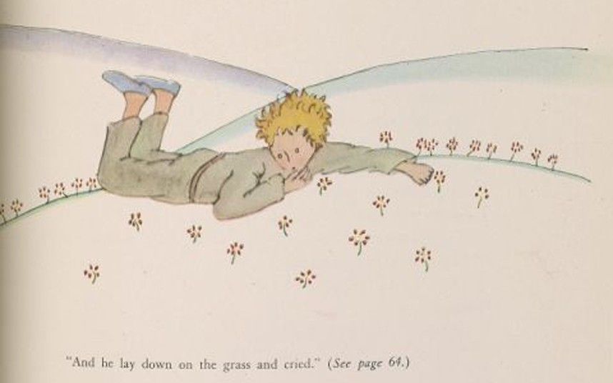 Petit Prince aquarelles