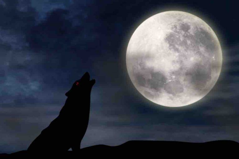 Les Vierges De La Pleine Lune Pleine Lune du 12 décembre 2019 - rétablir l'équilibre karmique