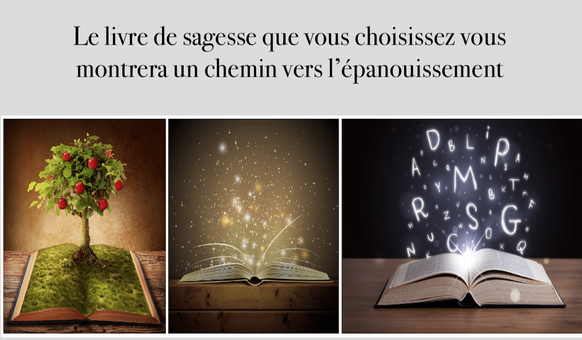 livre de sagesse