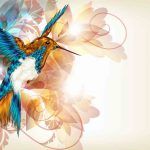 Parabole du colibri
