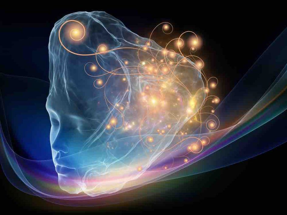 Les 7 étapes du processus d'involution