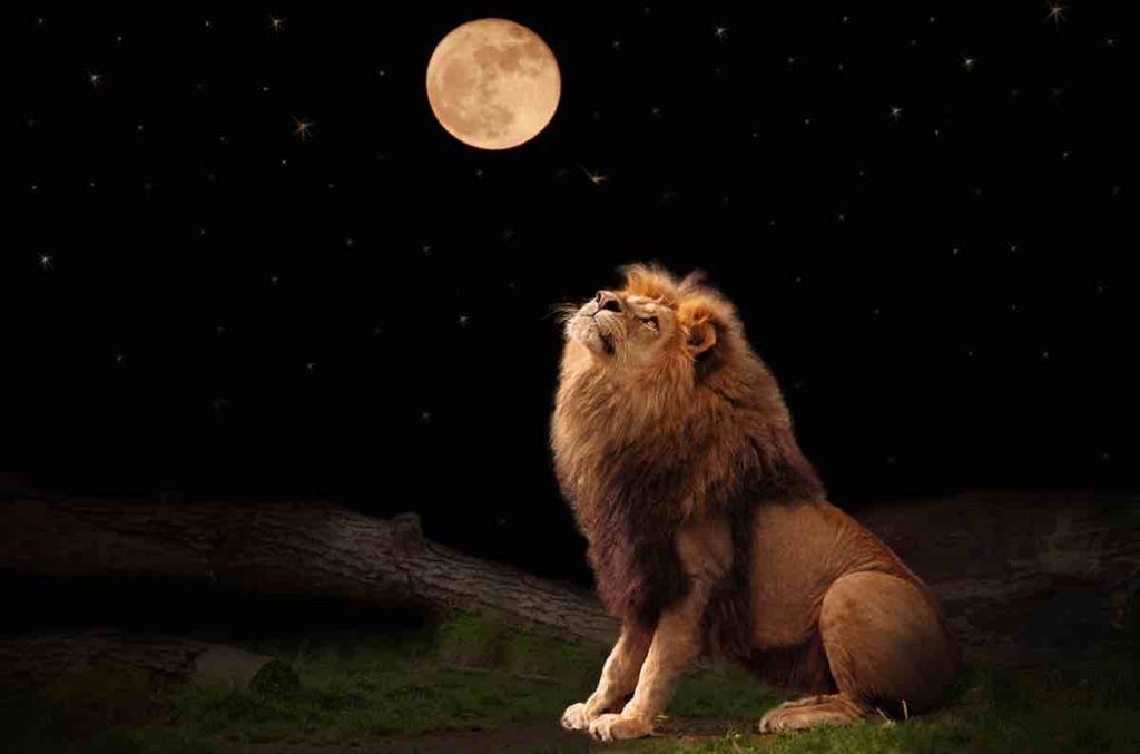 pleine lune en Lion 