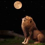 pleine lune en Lion