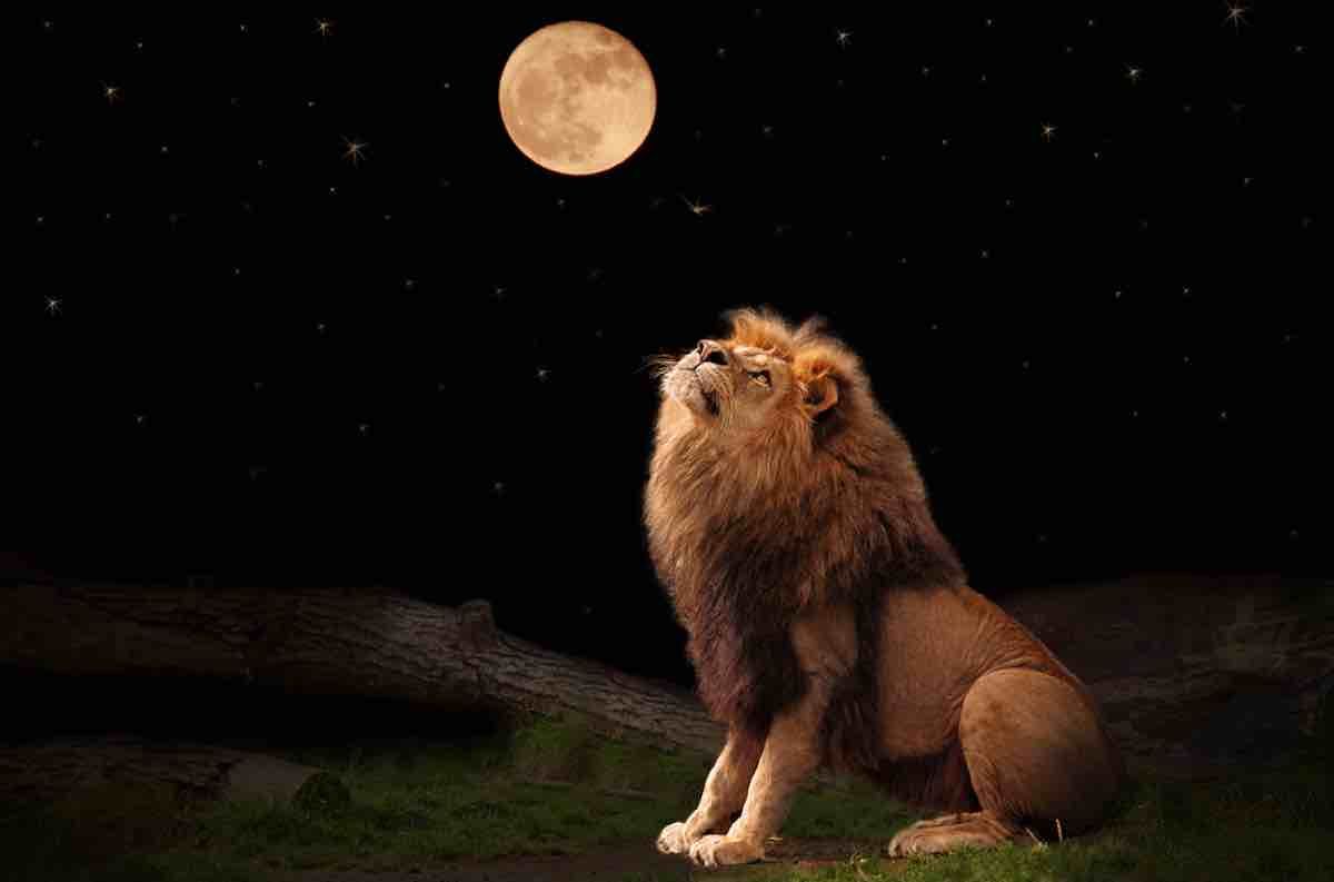 pleine lune en Lion