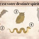 destinée spirituelle