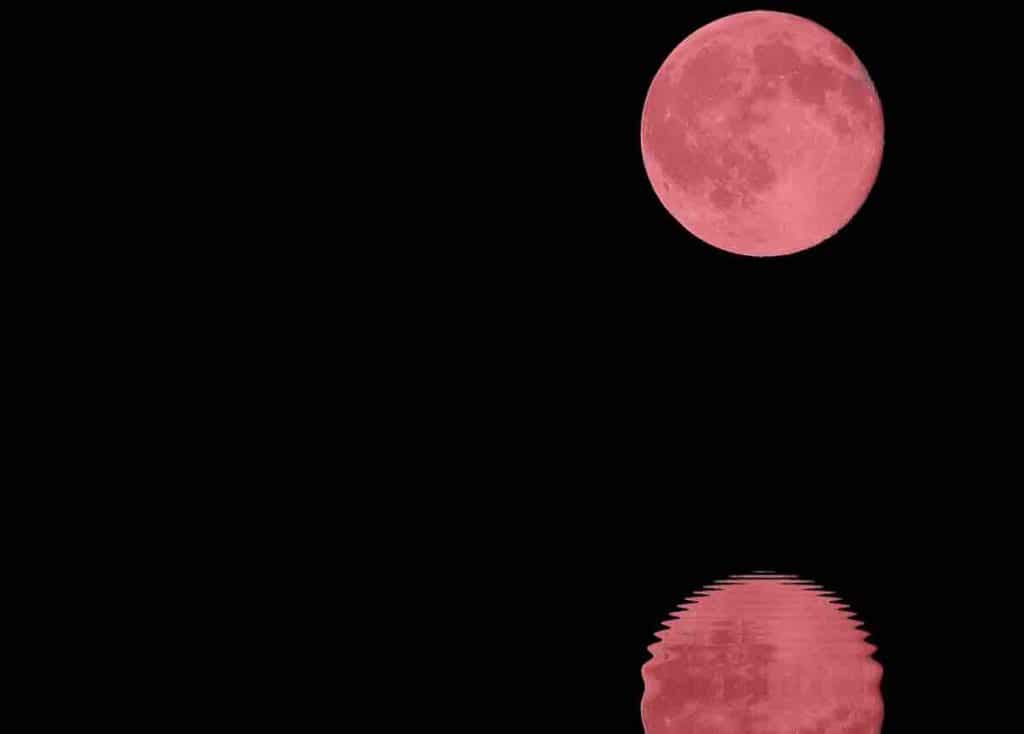 lune rose d'avril 2020