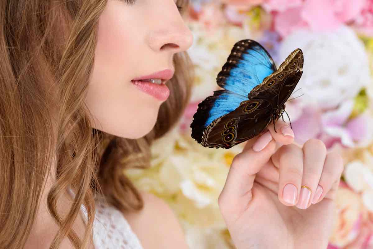 Observation des papillons bleus signification spirituelle et symbolisme