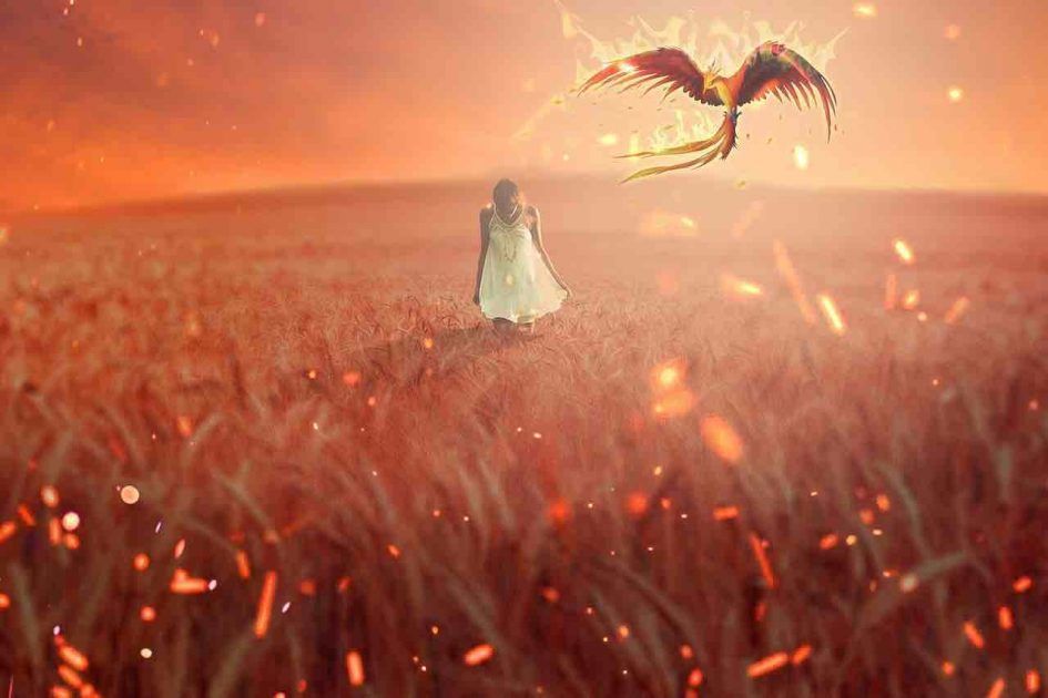 Force Et Resilience Apprenez Tout Sur La Signification Spirituelle Du Phenix Esprit Spiritualite Metaphysiques Force Et Resilience Apprenez Tout Sur La Signification Spirituelle Du Phenix Esprit Spiritualite Metaphysiques
