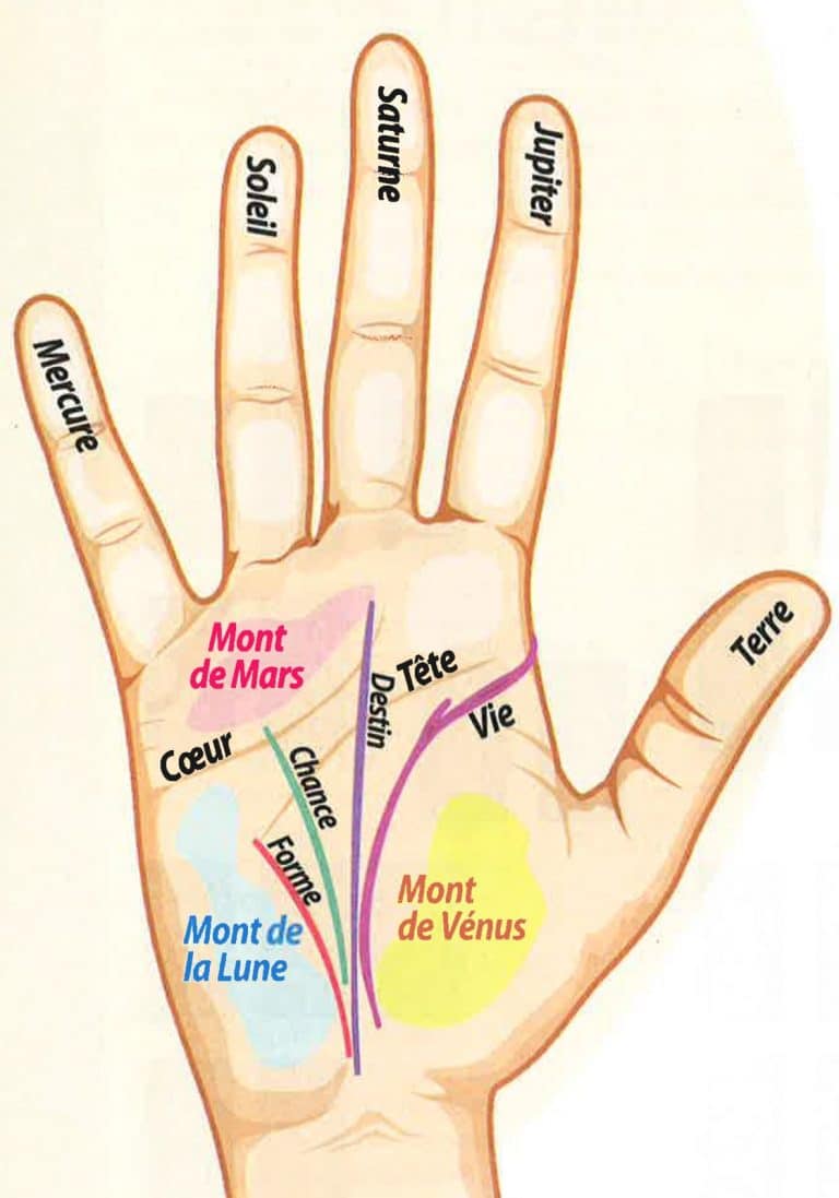 Selon la chiromancie, voici la signification