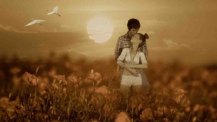 Animal Totem Du Chat Noir Quelle Est Sa Signification