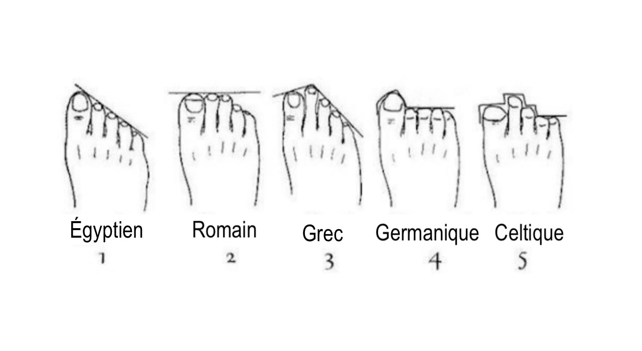 forme de vos pieds
