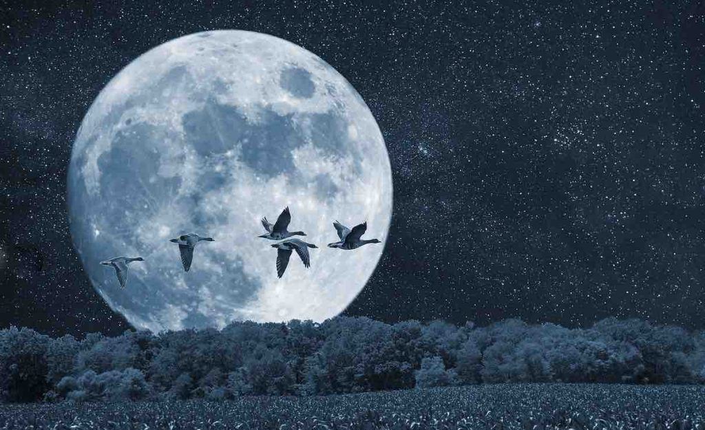 Dernière super lune de l'année 2023 : pourquoi cette pleine lune va t-elle  forcément apporter des changements dans votre vie ?