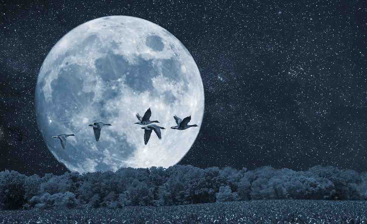 Pleine Lune Juin 2022 La pleine Lune du 14 juin 2022 en Sagittaire vous aidera à trouver des solutions