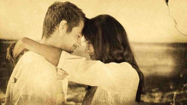 Animal Totem Du Chat Noir Quelle Est Sa Signification