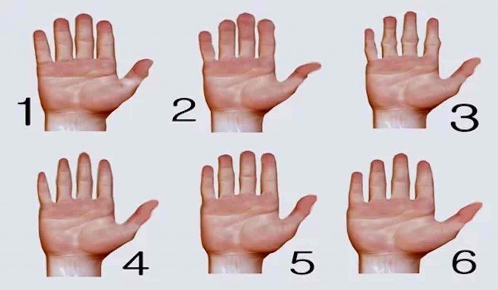 J'apprend les 5 doigts de la main - Tête à modeler